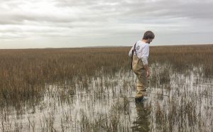 William Annis collecting water samples in the marsh at high tide.