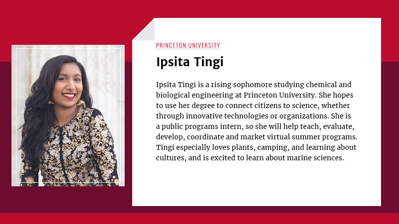 Ipsita Tingi, a rising sophomore, attends Princeton University where she is studying chemical and biological engineering. Using this degree, she wants to connect citizens to science, whether it be through innovative technologies or organizations. She is a Public Programs Intern, so she will be helping to teach, evaluate, develop, coordinate, and market the virtual programs we have this summer. Ipsita especially loves plants, camping, and learning about cultures, though she is excited to learn about marine sciences.