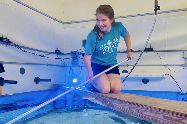Madeline McDonald cleans one of the 1,600-gallon tanks at the UGA Aquarium.