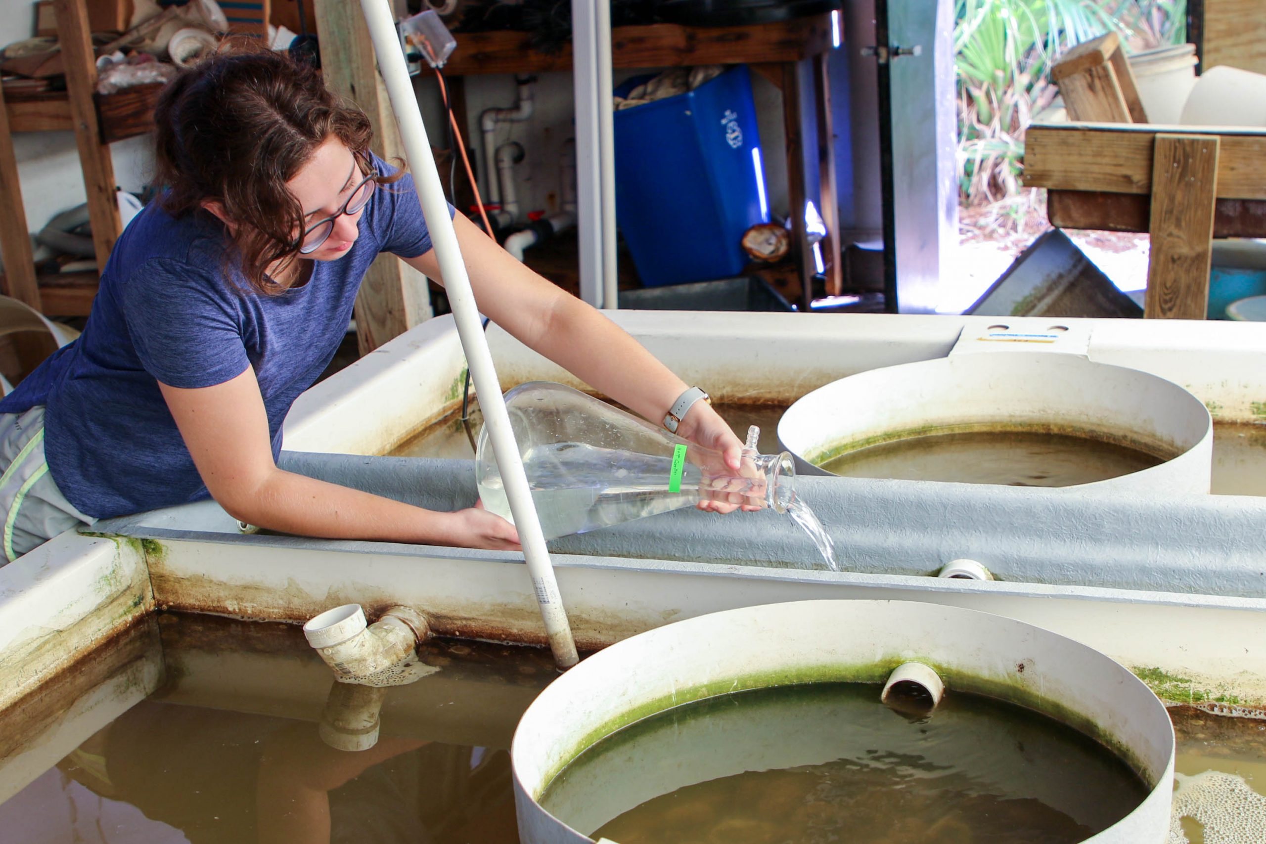 2109-SeaGrant-Sarah Roney-ResearchTrainee-2021-22 Sarah Roney Research Trainee-15