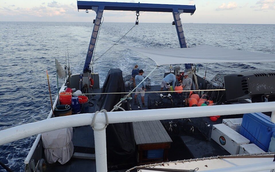 crew are gathered on the back deck of a research fishing vessel on the ocean
