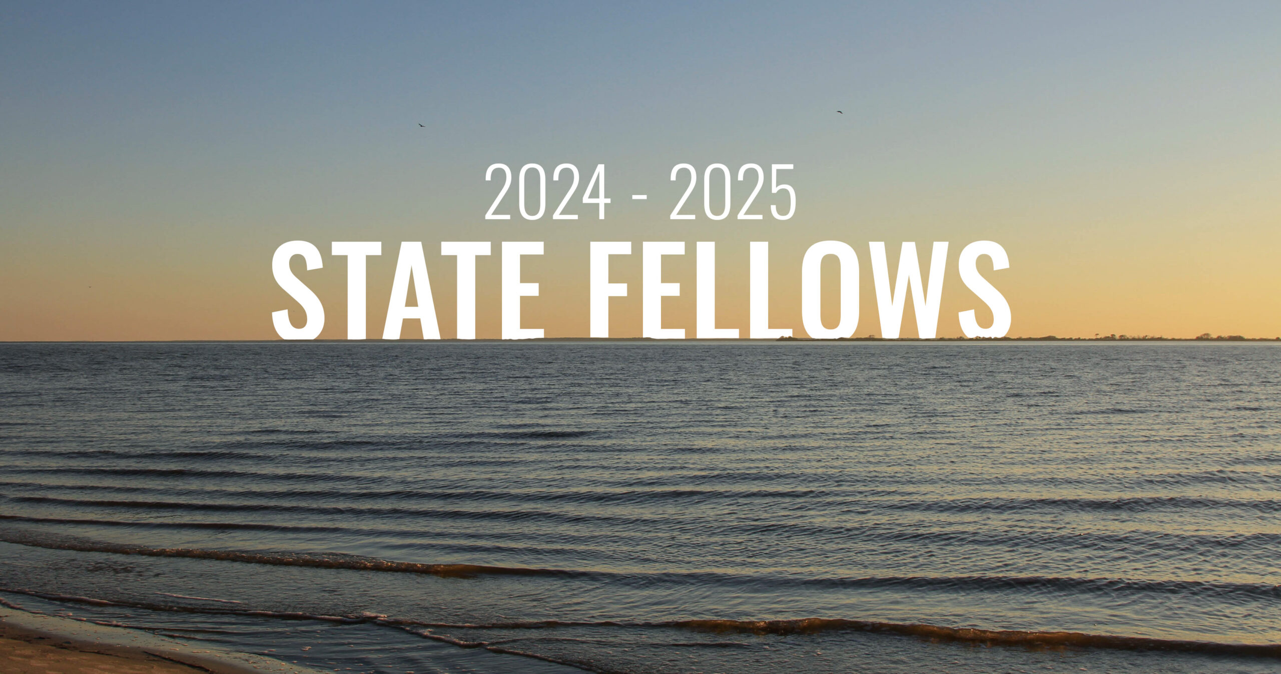 2024-25-statefellows-header