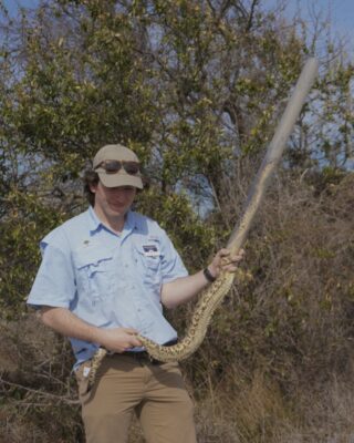 Rattlesnake
