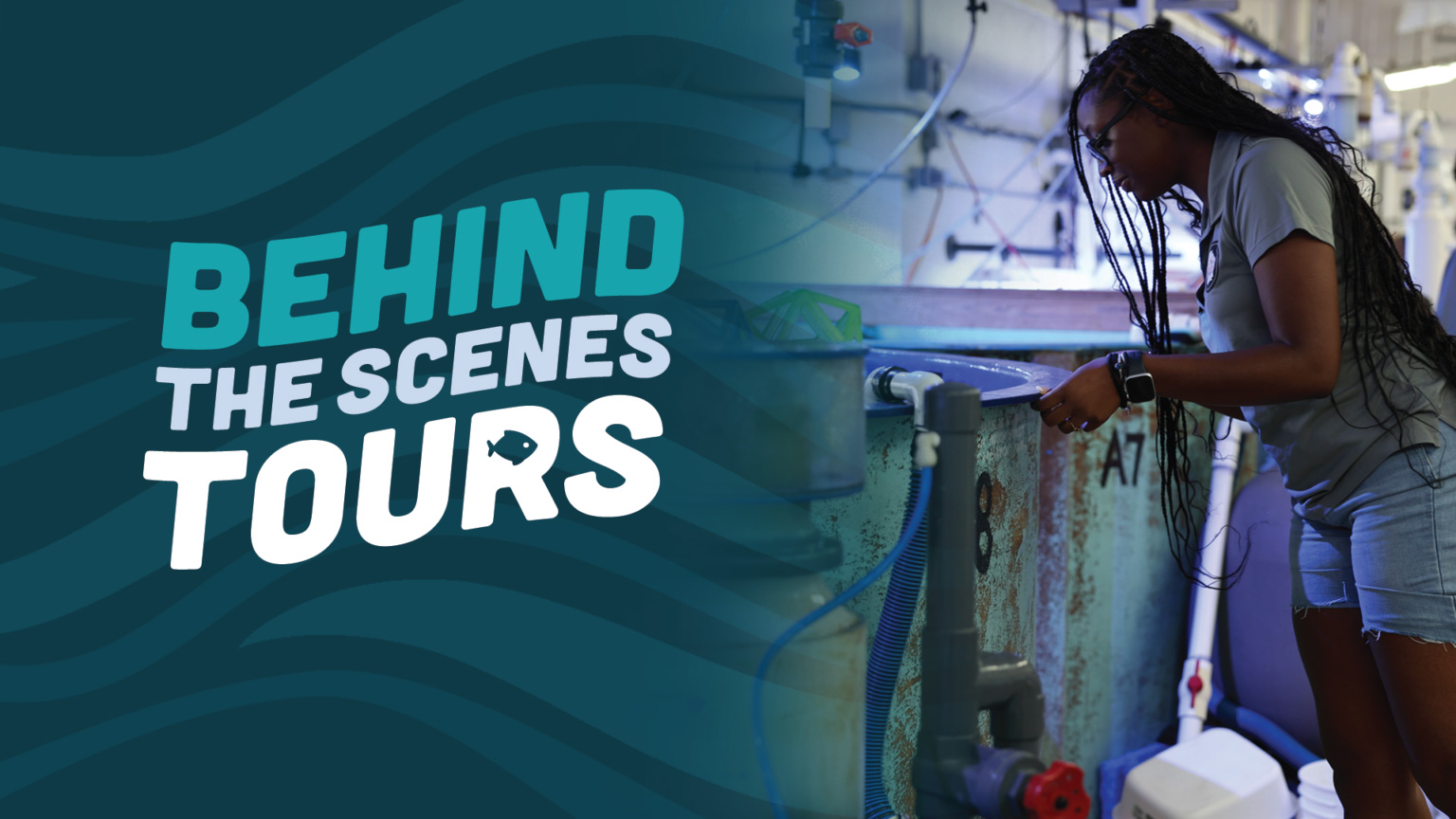 Beyond the scenes tours