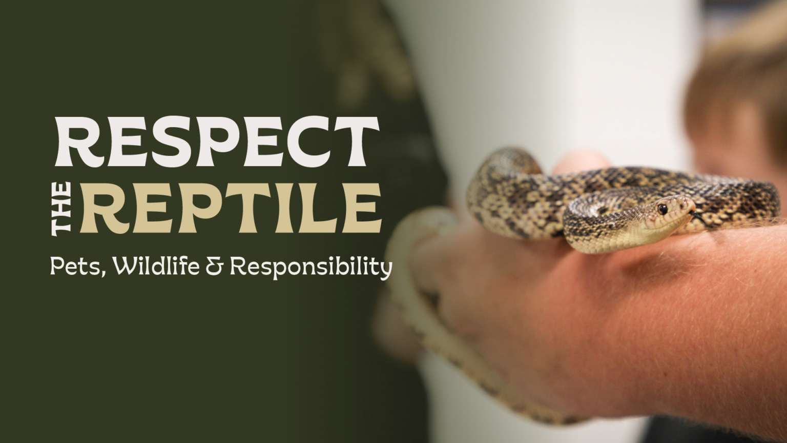 Respect the reptile