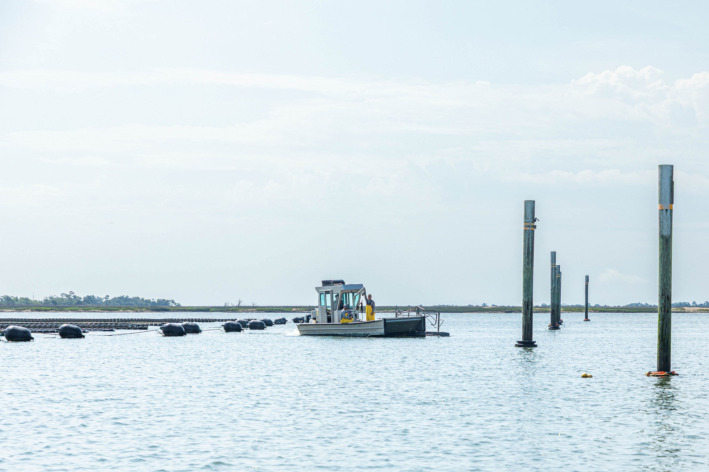 oyster mariculture lease