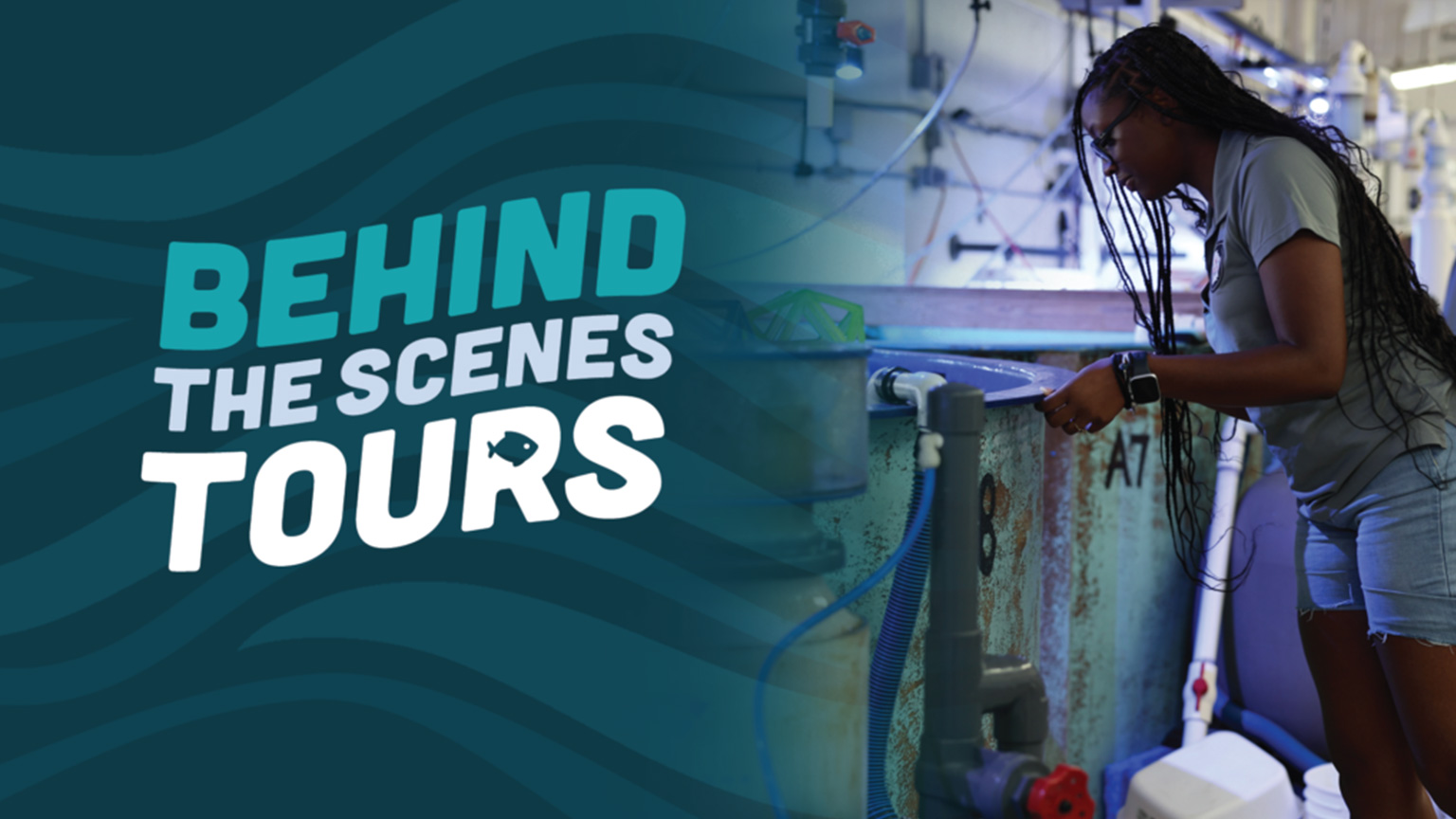 behind the scenes tours