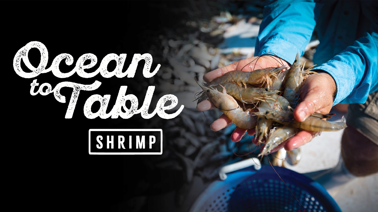 OceansTable