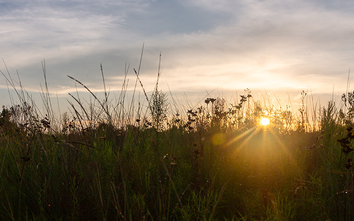 sunrise over maritime grasslands with "funding opportunities" text