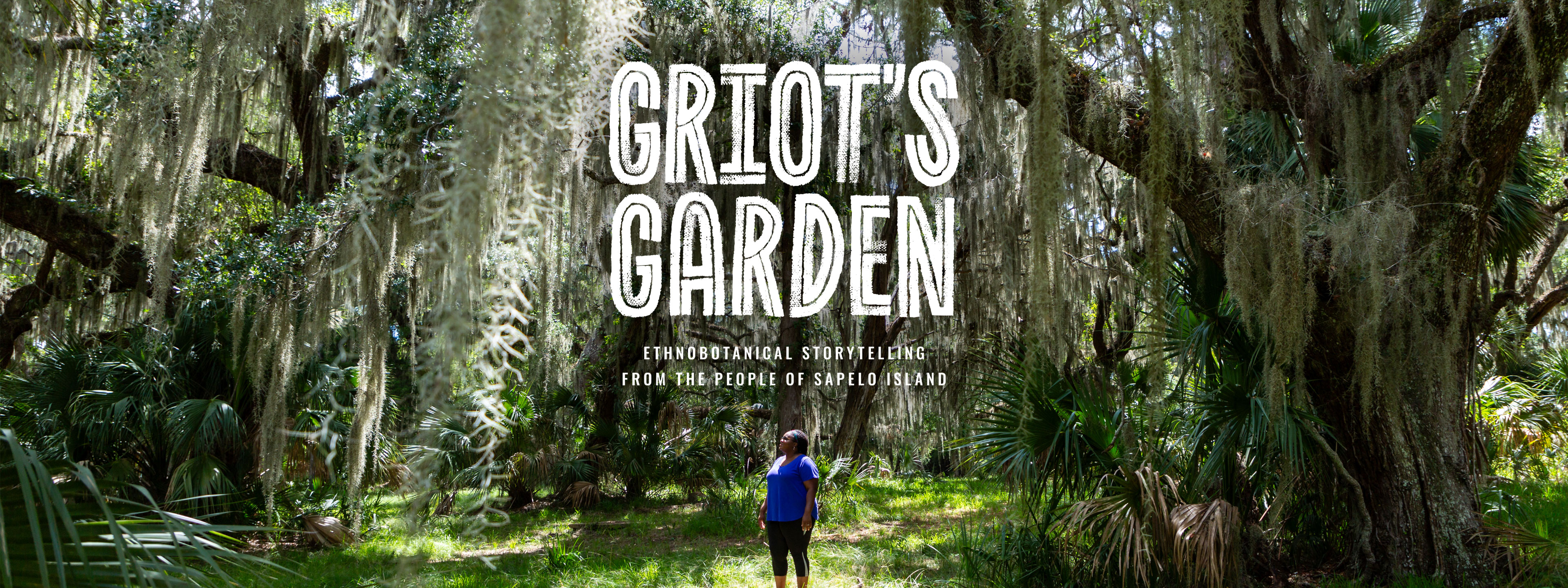 A woman in a blue shirt stands in a sunny area surrounded by live oaks, palms, and spanish moss. She is looking up at the canopy. TEXT: Griot's Garden Ethnobotanical Storytelling from the people of Sapelo Island