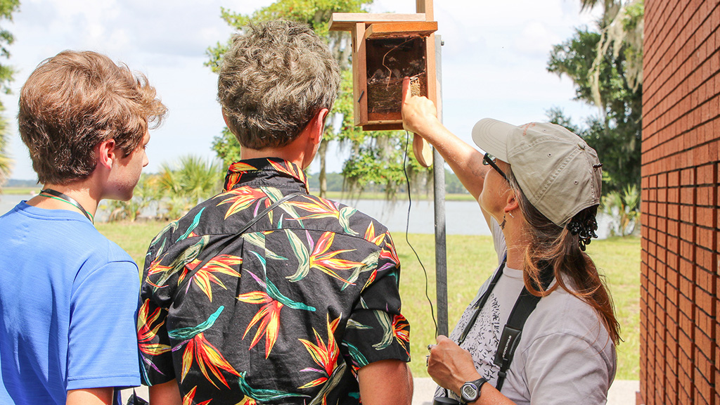 Three people stand outdoors by a bird box. A woman in a cap points at it, while two others observe. 