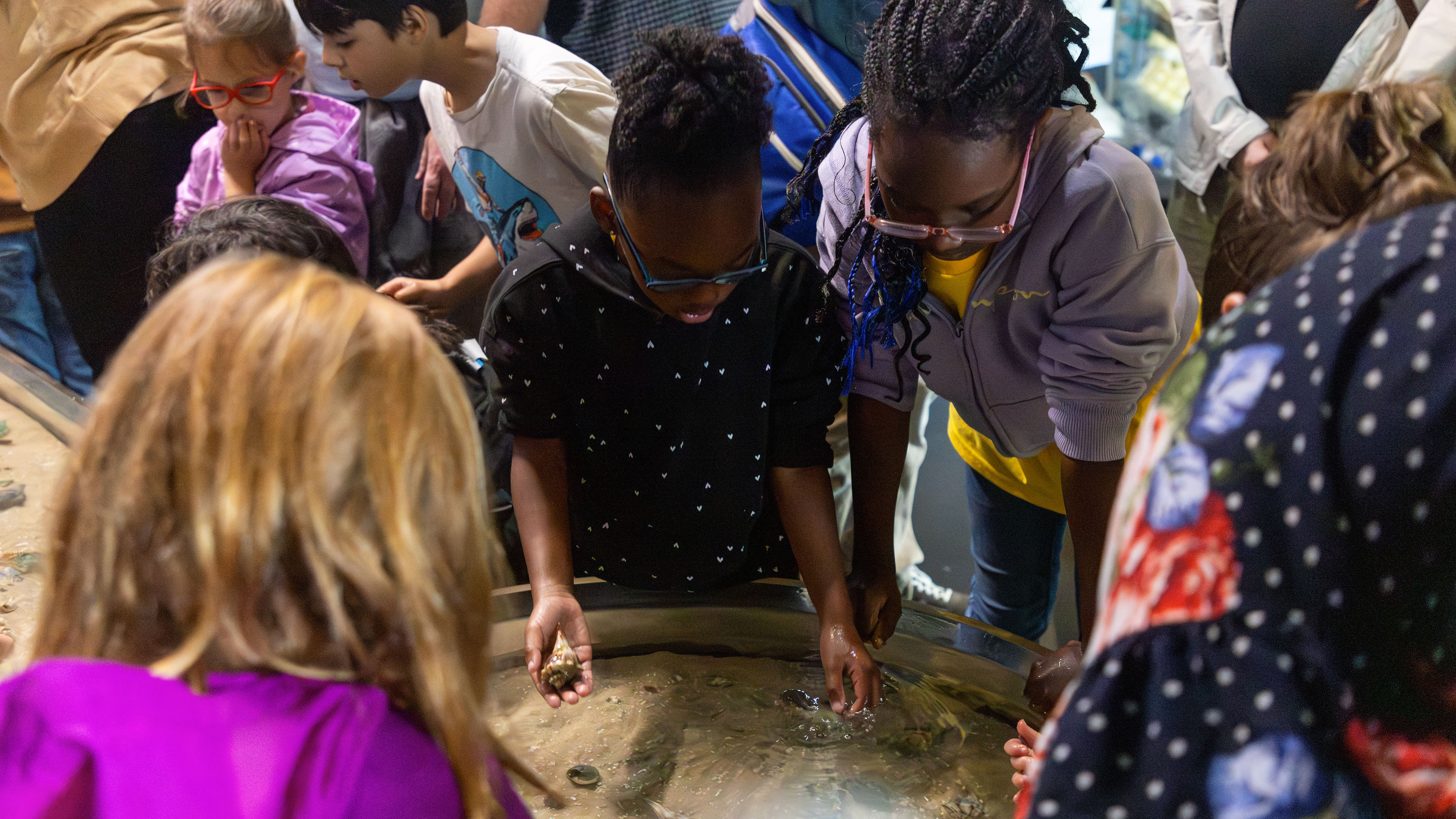 children of different ages and demographics gather around an open tank filled with water and small shelled sea creatures