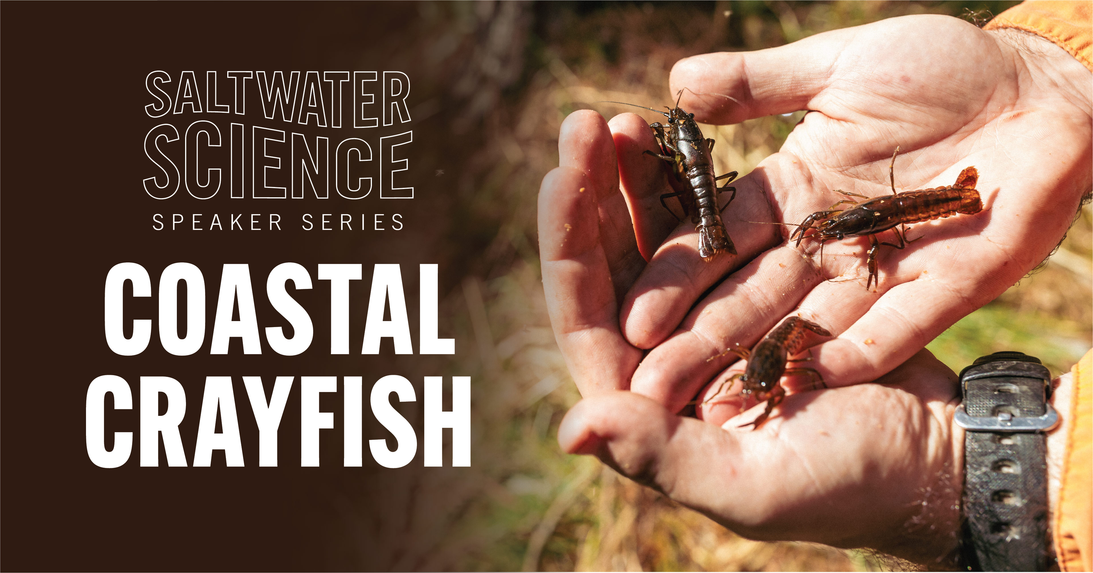Saltwater science speaker series, coastal crayfish