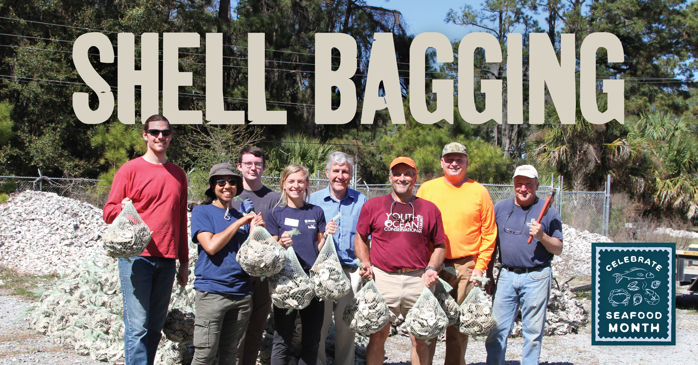 shell bagging