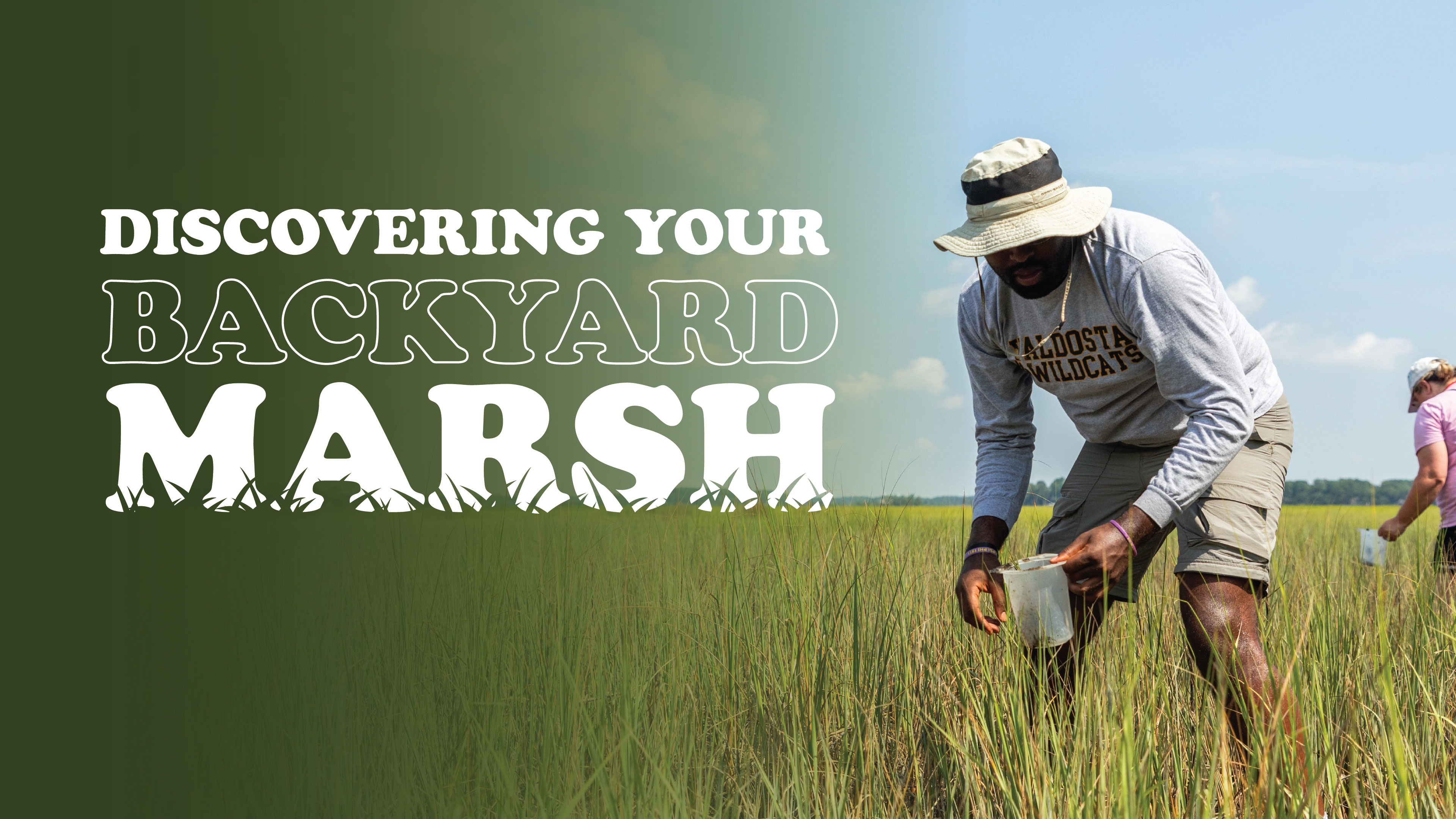 Discovering your backyard marsh