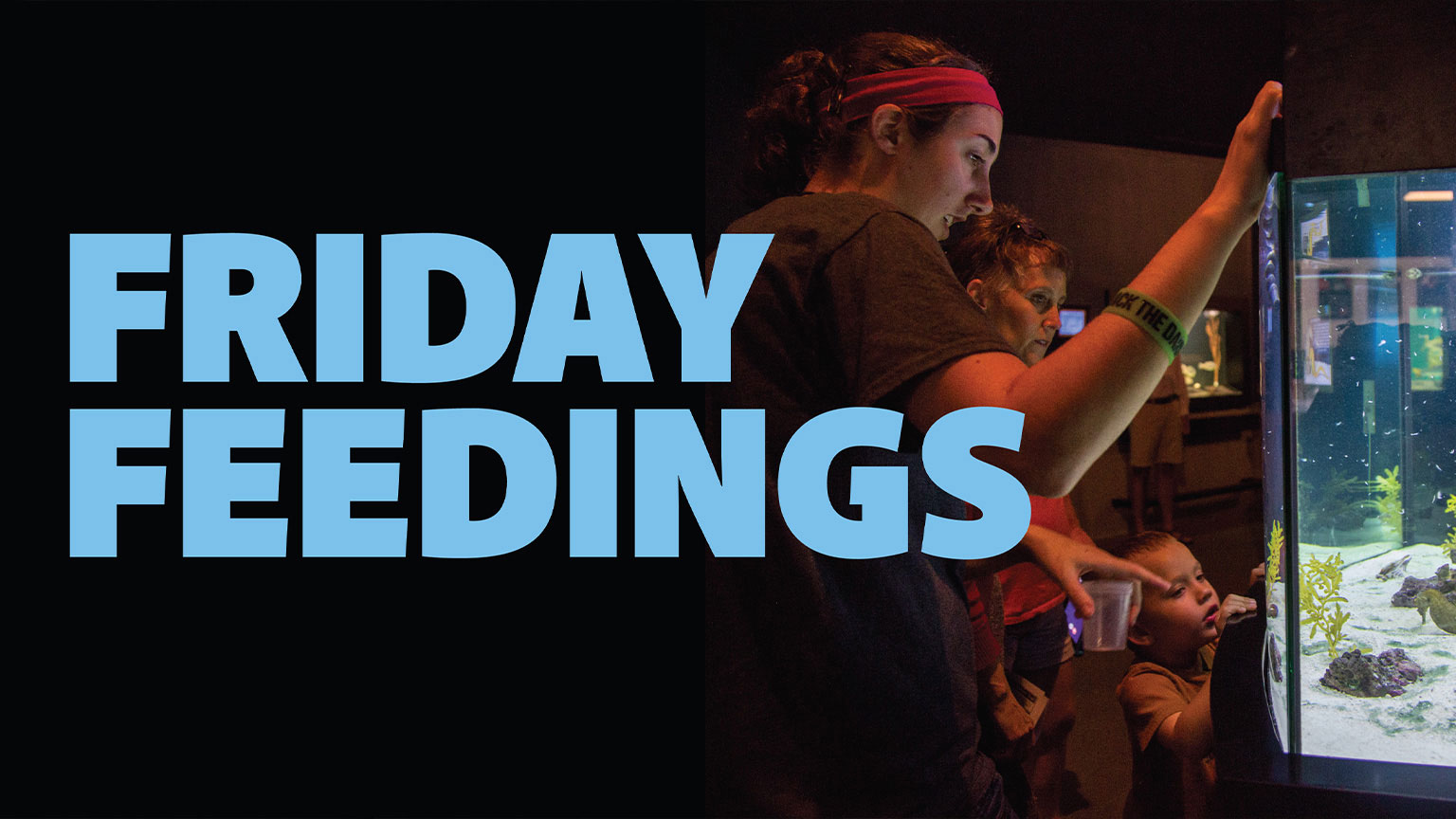 Friday Feedings