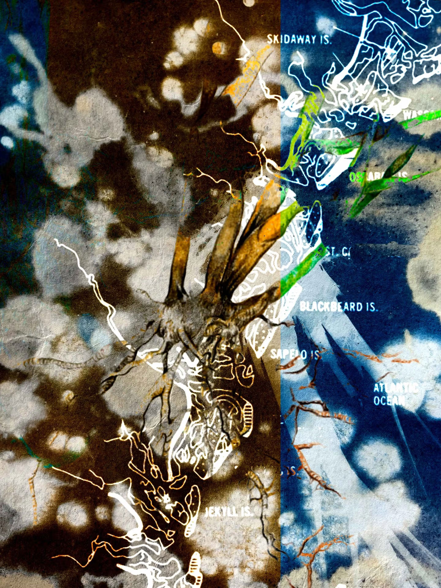 a layered two dimensional artwork with nature based images