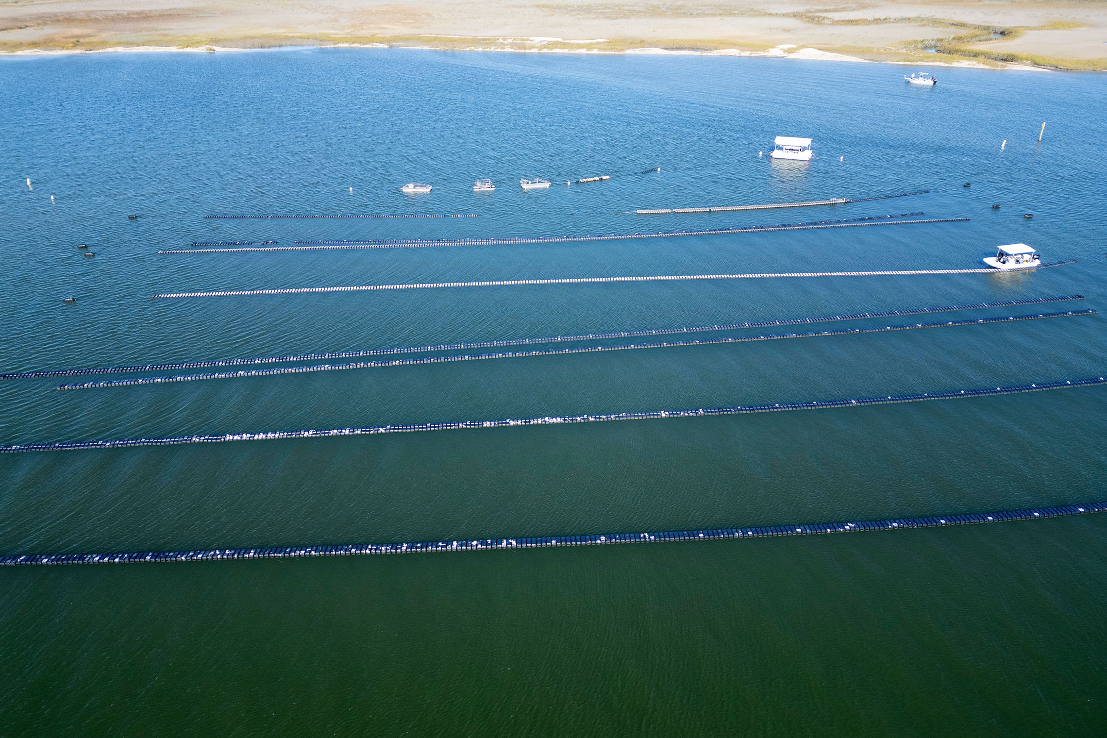 aerial view of an oyster farm