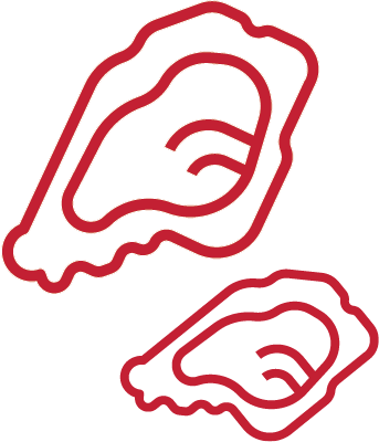 Oyster Shells Icon