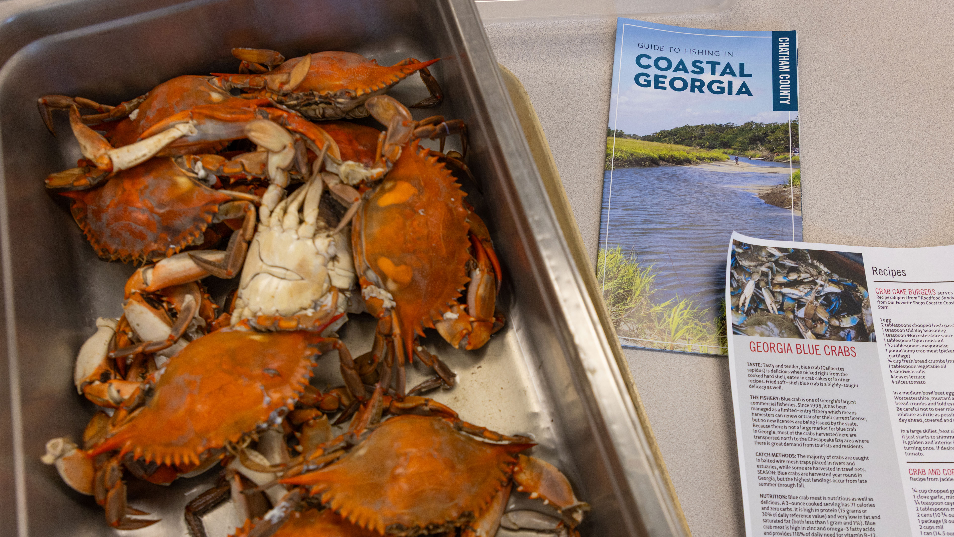 whole cooked crabs in a metal tray with educational seafood papers next to it