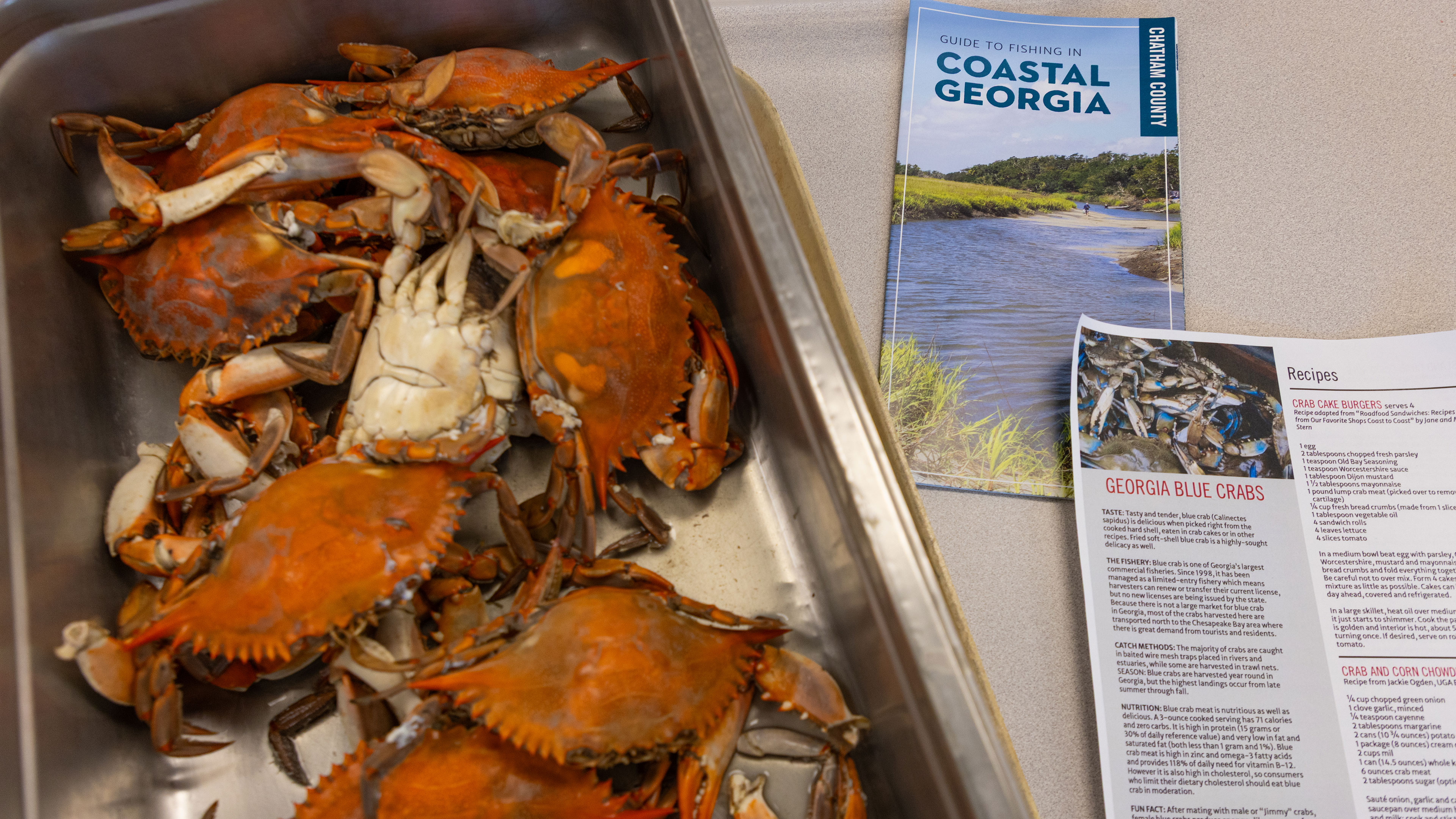 whole cooked crabs in a metal tray with educational seafood papers next to it
